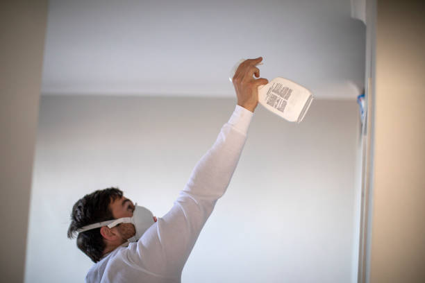 Best Office Mold Removal Services  in Palm Harbor, FL