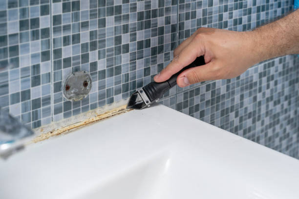 Best Professional Mold Removal  in Palm Harbor, FL