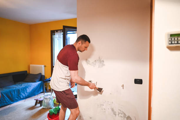 Best Commercial Mold Removal  in Palm Harbor, FL